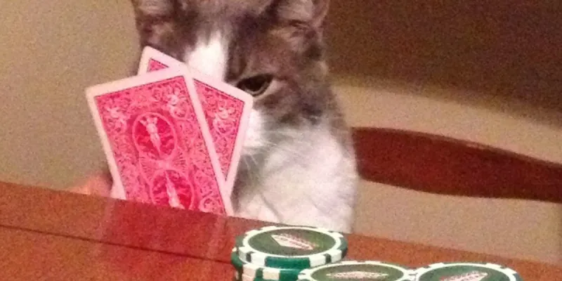 Imagen del grupo de WhatsApp ♣️♠️♦️♥️