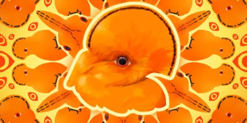 WhatsApp group image Solo Stickers