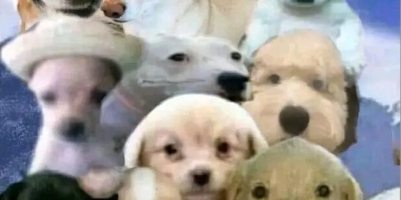 WhatsApp group image saquenme de aquí ijos d su cjingadamdree 🗣️