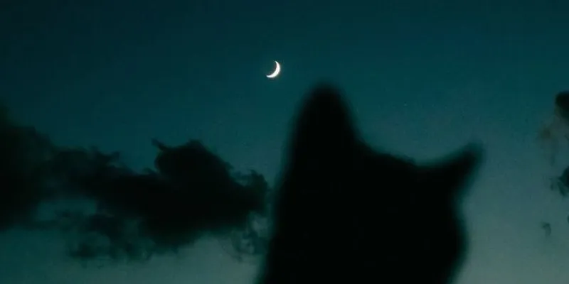 Imagen del grupo de WhatsApp 🔱 𝘼𝙈𝙄𝙎𝙏𝘼𝘿𝙀𝙎  🔱