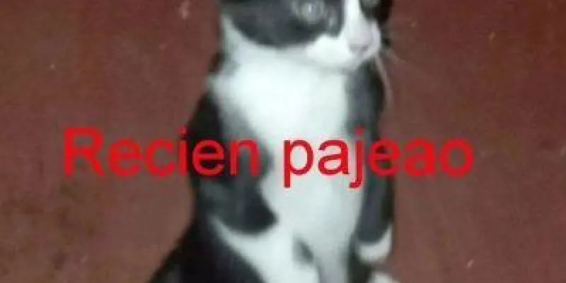 Imagem do grupo de WhatsApp 𝐈𝐍𝐓𝐄𝐑𝐋𝐔𝐃𝐄