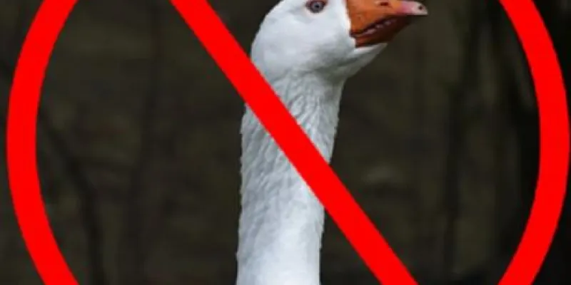 WhatsApp group image Somos el mejor país de chile 🤪🇨🇱