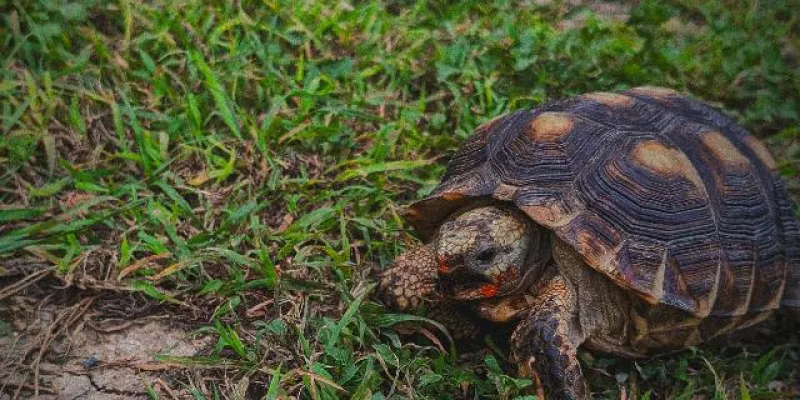 Imagen del grupo de WhatsApp amistad🫂🇲🇽🇲🇽